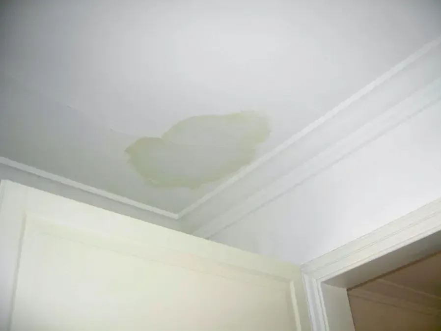 A spreading water stain on a white ceiling by the crown molding